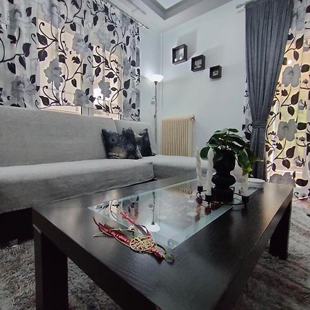 Crestio Apartment Καστοριά Bagian luar foto